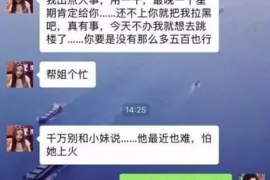 阜宁贷款清欠服务